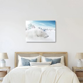Tablou pe sticlă - Urs polar (70x50 cm)