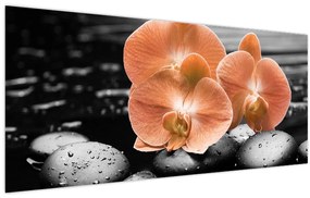 Tablou - Orhidee portocalii (120x50 cm)