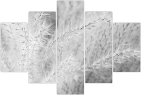 Tablou - Iarbă de pampas N⁰1 (150x105 cm)