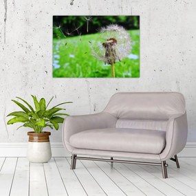 Tablou pe sticlă cu păpădie (70x50 cm)