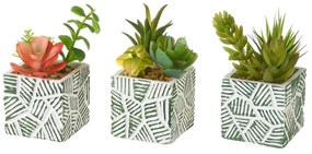 Plante artificiale 3 buc. (înălțime 12 cm) Cactus – Casa Selección
