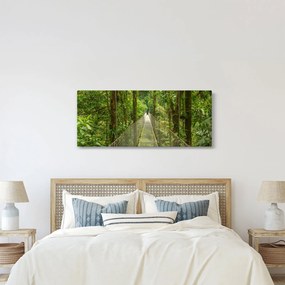 Tablou - Pod suspendat (120x50 cm)