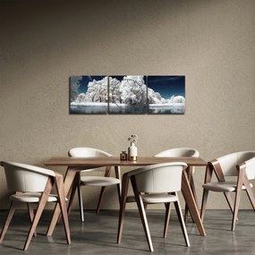 Tablou - Albă ca Zăpada Albă ca Zăpada Copaci (cu ceas) (90x30 cm)