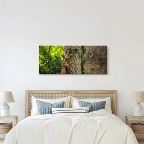 Tablou - Veverița (120x50 cm)