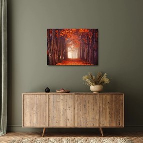 Tablou - Pădurea de toamnă (70x50 cm)
