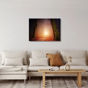 Tablou pe sticlă cu pădurea toamna în ceață (70x50 cm)