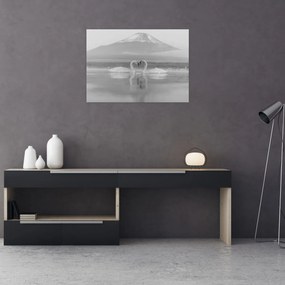 Tablou pe sticlă - Lebede îndrăgostite (70x50 cm)