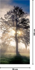 Fototapet pentru ușă - Copacul în ceață (95x205cm)