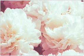 Tablou cu flori (90x60 cm)