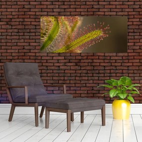 Tablou cu plantă (120x50 cm)