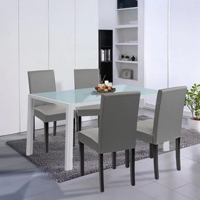 Set de masă Mira 4+1 alb-gri