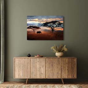 Tablou - Parcul Național Serengeti, Tanzania, Africa (90x60 cm)