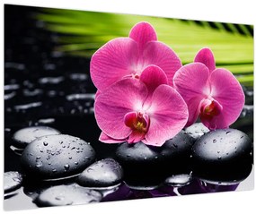 Tablou - Orhidee roz cu frunze de palmier (90x60 cm)