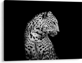 Tablou - Leopardul (70x50 cm)