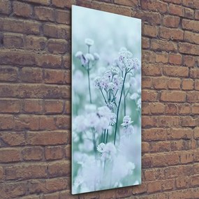 Tablou Printat Pe Sticlă Astrantia
