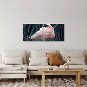 Tablou - Pasărea Flamengo (120x50 cm)