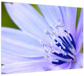 Tablou - Floare (70x50 cm)