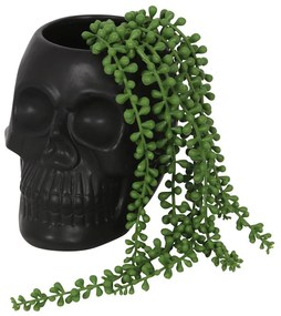 Ghiveci Craniu 13 cm