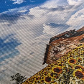 Tablou cu câmp de floarea soarelui (120x50 cm)