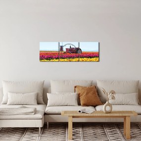 Tablou cu farma de lalele (cu ceas) (90x30 cm)