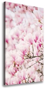 Tablouri tipărite pe pânză Flori magnolia