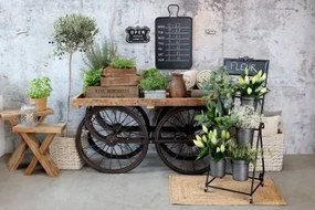 Suport pentru flori cu 6 ghivece din zinc antichizat, 40×39×114,5 cm, „Fleur"
