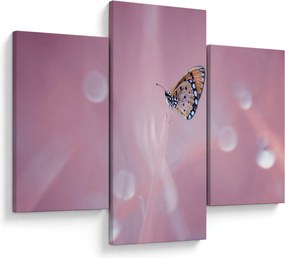 Tablou - Fluture (90x60 cm)