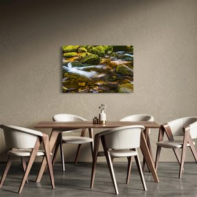 Tablou cu părâu (90x60 cm)