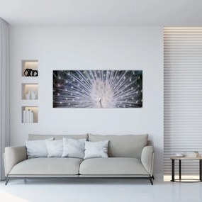 Tablou - Păun alb (120x50 cm)