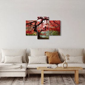 Tablou - Arțarul japonez roșu, Portland, Oregon (90x60 cm)