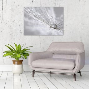 Tablou - Picătură de apă (70x50 cm)