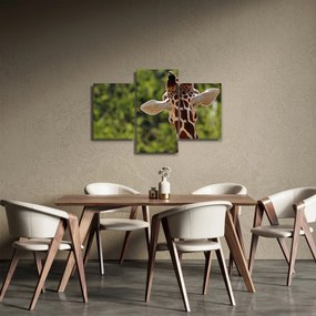Tablou cu girafă din spate (90x60 cm)
