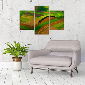 Tablou - Lan, luncile (90x60 cm)