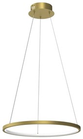 Lustră LED pe cablu HOOP LED/27W/230V d. 50 cm 4000K auriu