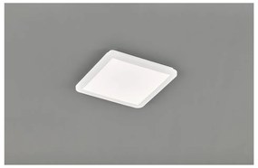 Plafonieră LED Trio Camillus, 30 x 30 cm, alb