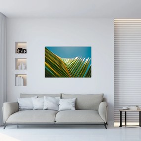 Tablou - Frunze de palmier (90x60 cm)