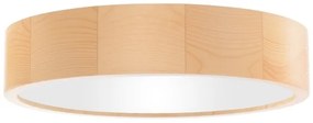 Plafonieră pentru baie CLEO 3xE27/24W/230V IP54 d. 37,5 cm pin