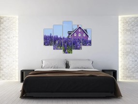 Tablou cu câmp de lavanda (150x105 cm)