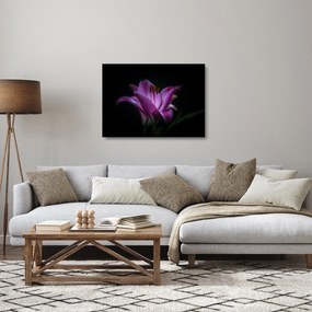 Tablou pe sticlă crinul (70x50 cm)