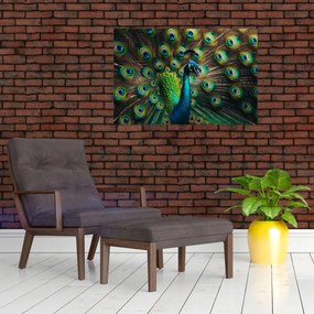 Tablou – Păun (90x60 cm)