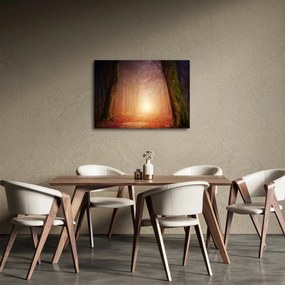 Tablou cu pădurea toamna în ceață (70x50 cm)