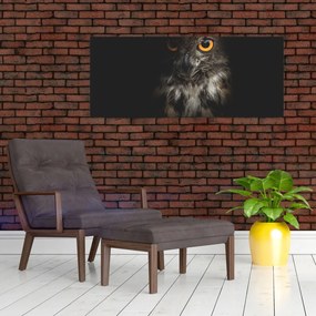 Tablou cu bufnița (120x50 cm)