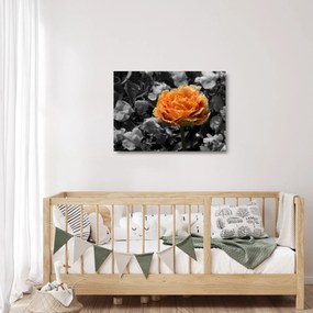 Tablou pe sticlă cu floare (70x50 cm)