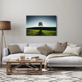 Tablou cu natura - copac (90x60 cm)