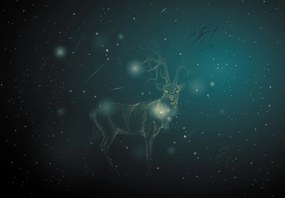 Fototapet - Cerb magic noaptea (147x102 cm)