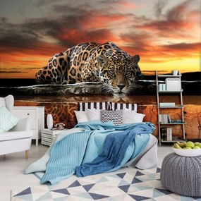 Fototapet - Jaguar (152,5x104 cm)