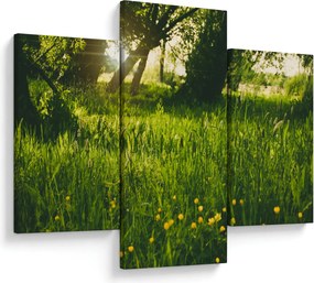 Tablou cu natura - lunca (90x60 cm)