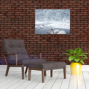 Tablou pe sticlă cu lebăde (70x50 cm)