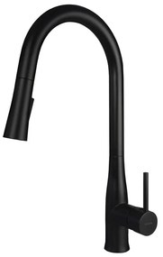 Baterie de chiuvetă cu cap de duș detașabil Deante BDH_N72M LUKRECJA negru