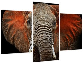 Tablou - Elefanți cu Tsavo (90x60 cm)